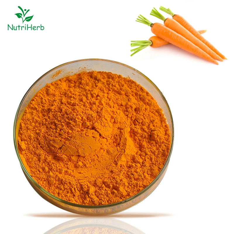 Factory Price Carrot Root Extract Carotenoids Powder Carrot Powder